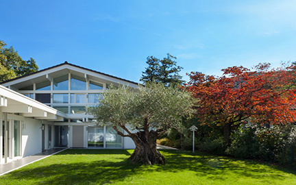 Celebrating Arbor Day