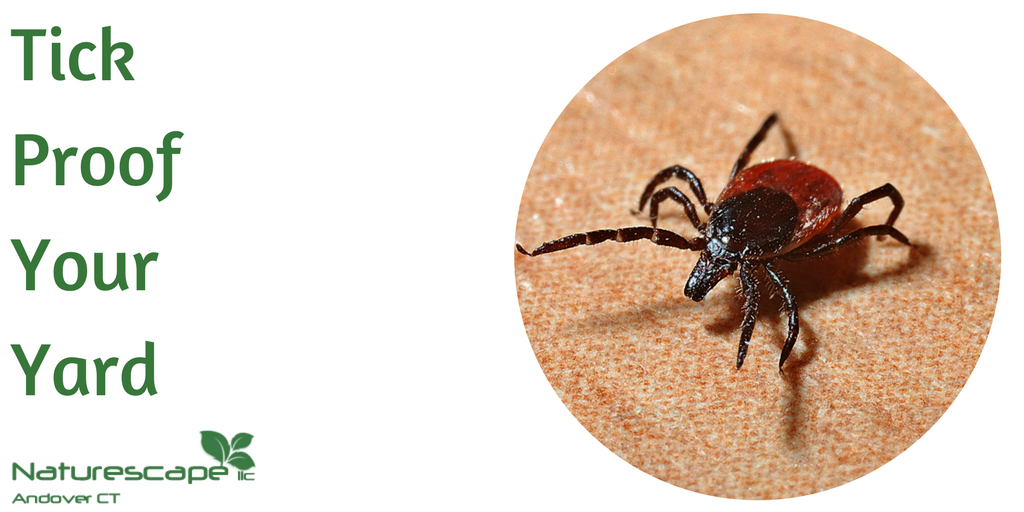 Tick proof your yard