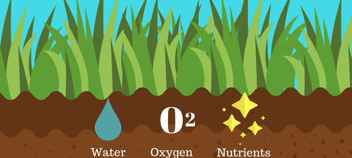what is lawn aeration