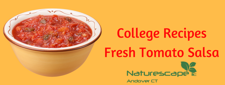 college recipes: fresh tomato salsa