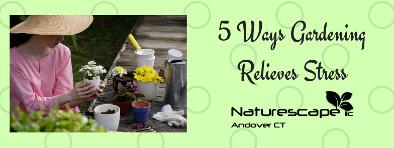 5 Ways Gardening Relieves Stress
