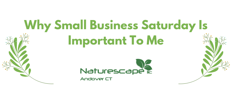 Small Business Saturday