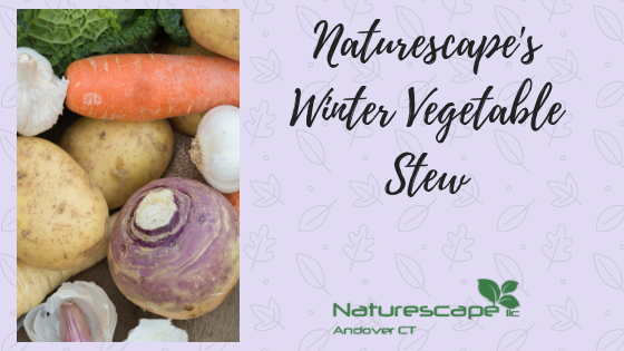 winter vegetable stew