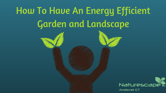 How To Have An Energy Efficient Garden and Landscape