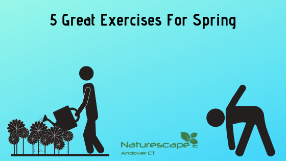 5 great exercises for spring